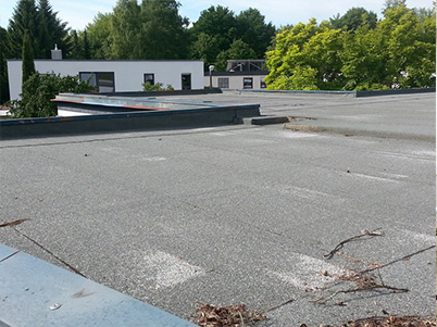 Flat Roof Leakage